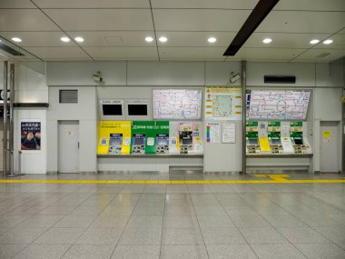 Tokyo İstasyonu, Japonya Manzarası