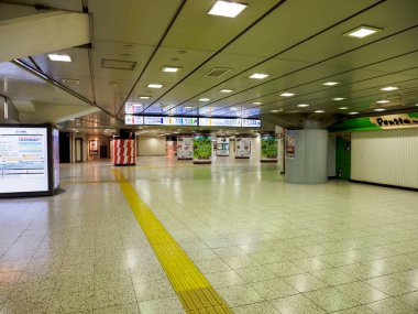 Tokyo İstasyonu, Japonya Manzarası
