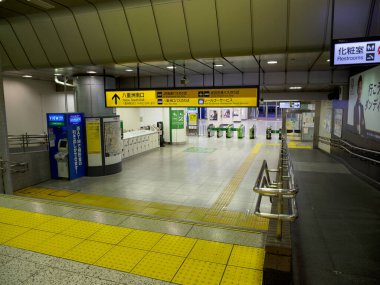 Tokyo İstasyonu, Japonya Manzarası
