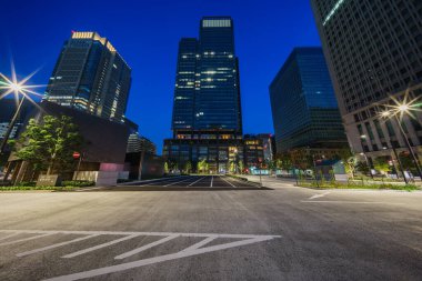 Tokyo İstasyonu, Japonya Manzarası