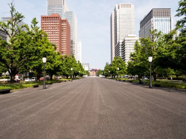 Tokyo İstasyonu, Japonya Manzarası