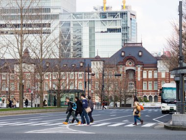 Tokyo İstasyonu, Japonya Manzarası