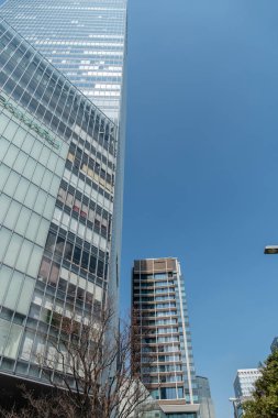 Tokyo İstasyonu, Japonya Manzarası