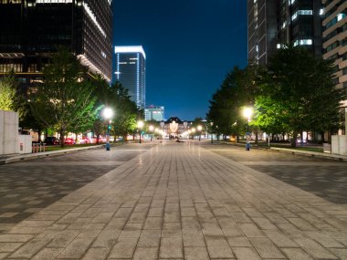 Tokyo İstasyonu, Japonya Manzarası