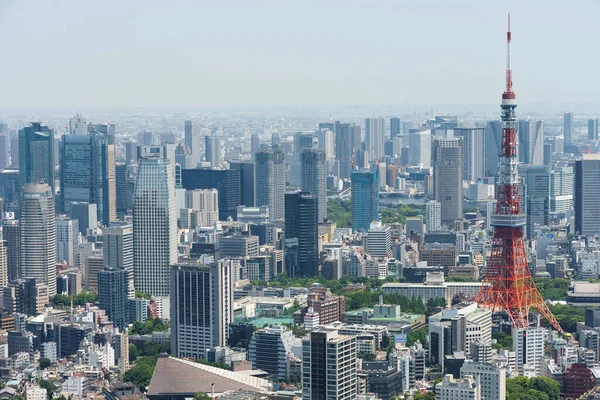 Roof Top Japan Tokyo — стокове фото