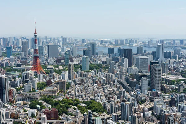 Roof Top Japan Tokyo — стокове фото