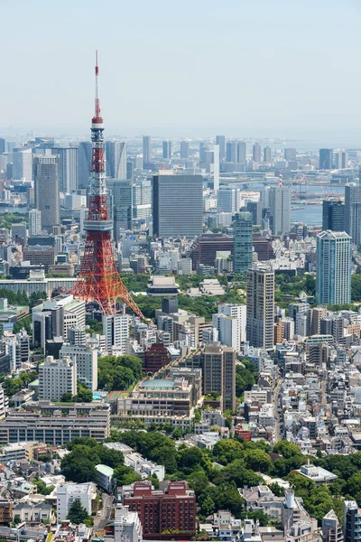 Roof Top Japan Tokyo — стокове фото