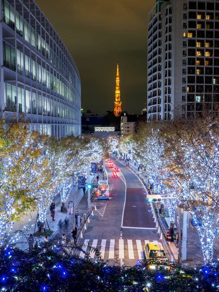 Tokyo Roppongi Keyakizaka Gece Görünümü