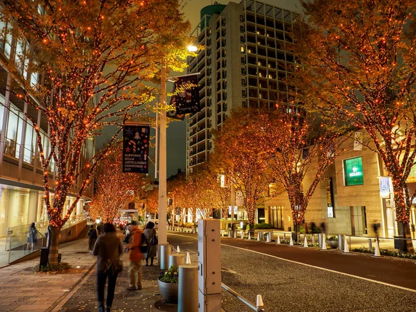 Tokyo Roppongi Keyakizaka Gece Görünümü