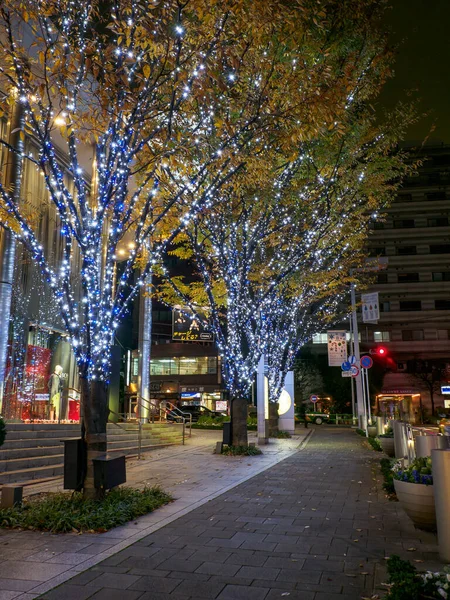 Tokyo Roppongi Keyakizaka Night View — Stockfoto