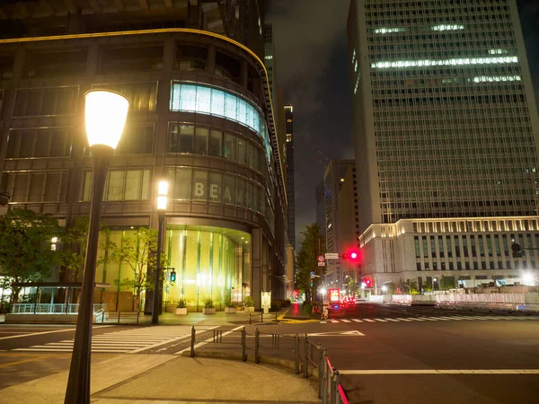 Tokyo Station Japan Landskap — Stockfoto