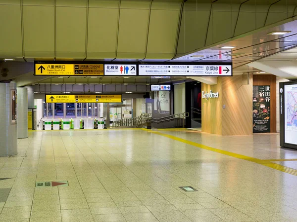 Bahnhof Tokio Japan Landschaft — Stockfoto