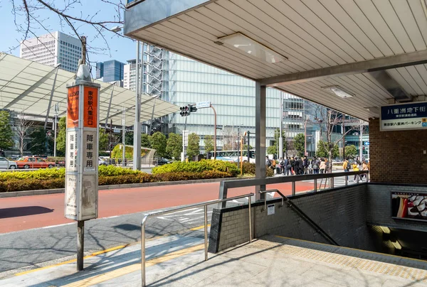 Tokyo İstasyonu, Japonya Manzarası