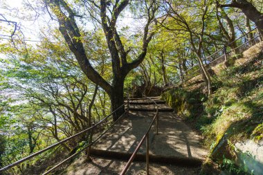 Tsukuba Dağı, Japonya Peyzajı