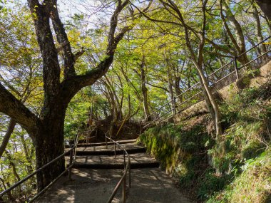 Tsukuba Dağı, Japonya Peyzajı