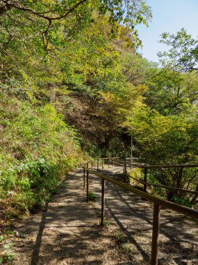 Tsukuba Dağı, Japonya Peyzajı