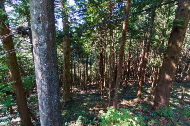 Tsukuba Dağı, Japonya Peyzajı