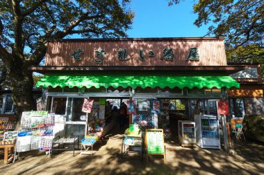 Tsukuba Dağı, Japonya Peyzajı