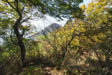 Tsukuba Dağı, Japonya Peyzajı