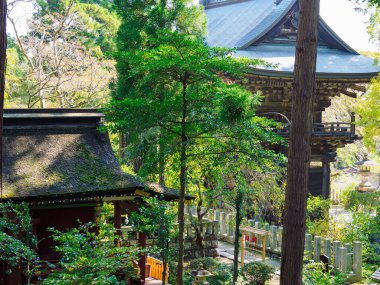 Tsukuba Dağı, Japonya Peyzajı