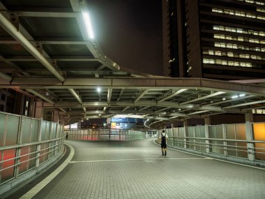 Japonya Tokyo Odaiba Manzarası