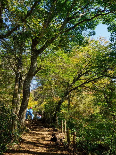 Mount Tsukuba Japan Landskap — Stockfoto