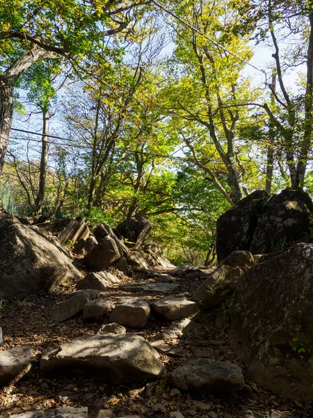 日本筑波山风景区 — 图库照片