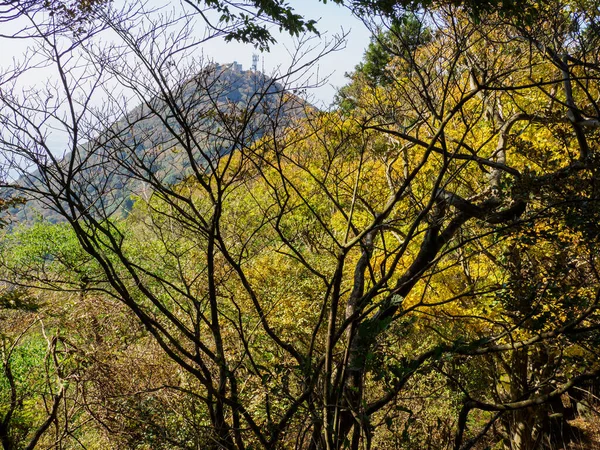 筑波山 日本の風景 — ストック写真
