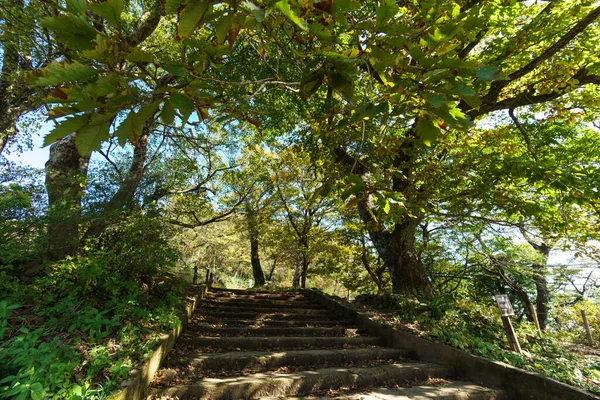 Mount Tsukuba Japan Landskap — Stockfoto