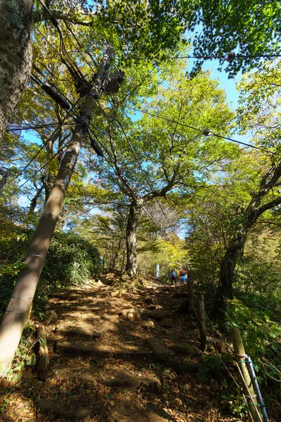 Mount Tsukuba Japán Táj — Stock Fotó