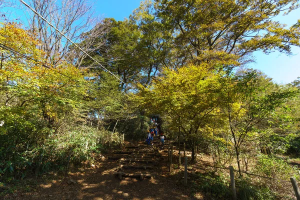 Mount Tsukuba Japonsko Krajina — Stock fotografie