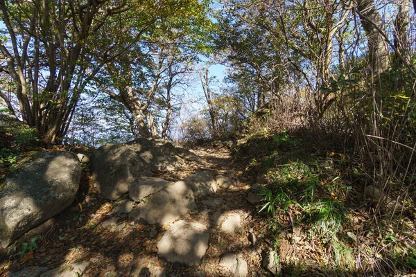 Mount Tsukuba Japonsko Krajina — Stock fotografie