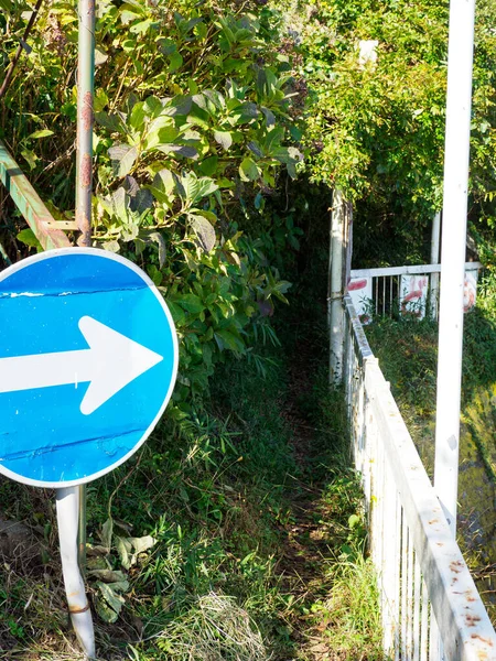 Tsukuba Dağı, Japonya Peyzajı