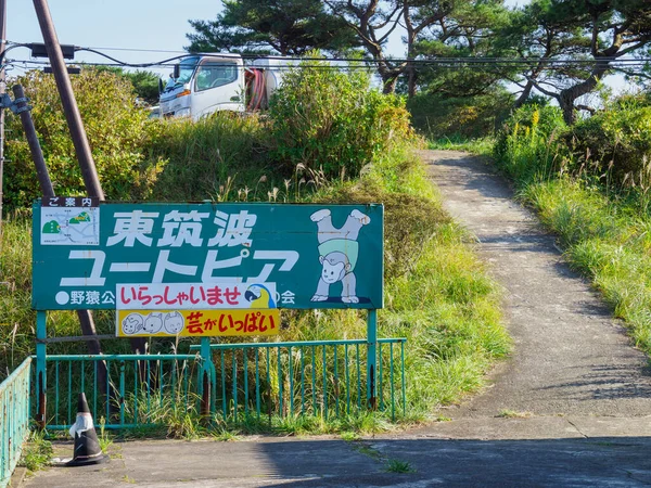 Góra Tsukuba Japonia Krajobraz — Zdjęcie stockowe