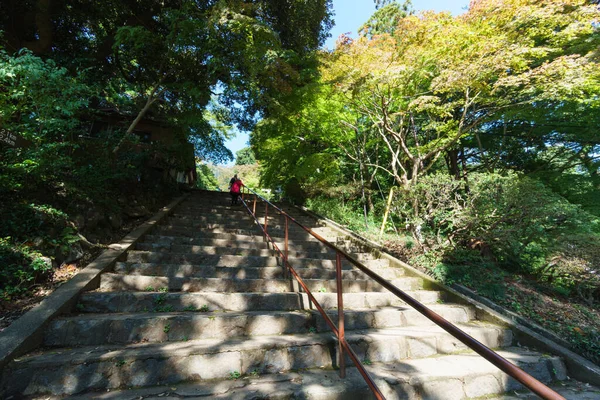 Όρος Τσουκούμπα Ιαπωνία Τοπίο — Φωτογραφία Αρχείου