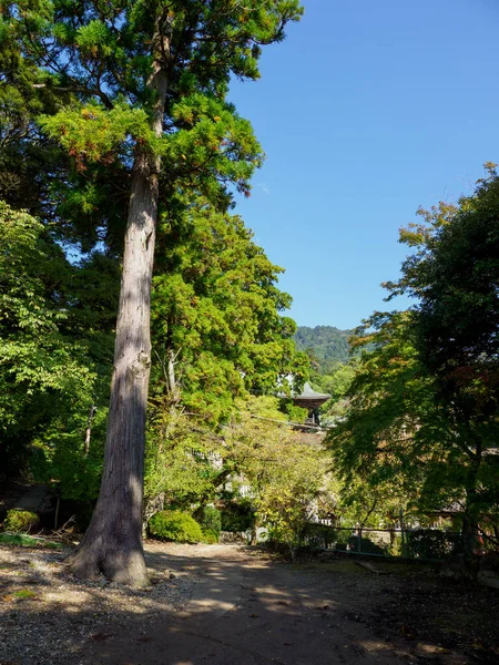Tsukuba Dağı, Japonya Peyzajı