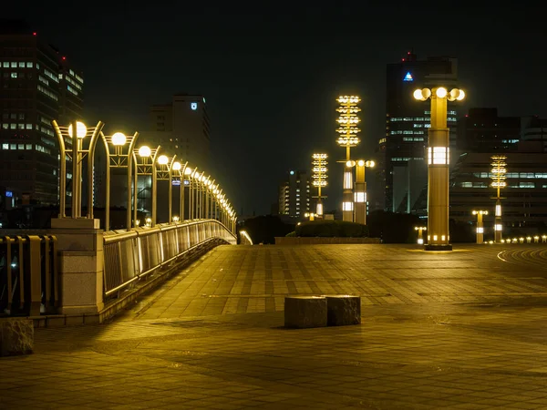 Giappone Tokyo Odaiba Paesaggio — Foto Stock