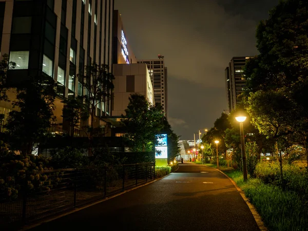 Japan Tokio Odaiba Landschap — Stockfoto