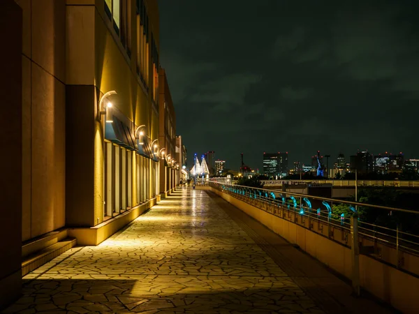 Japan Tokio Odaiba Landschap — Stockfoto