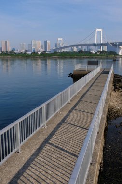Japonya Tokyo Odaiba Manzarası