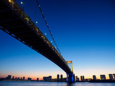 Tokyo Gökkuşağı Köprüsü Manzarası