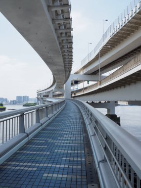 Tokyo Gökkuşağı Köprüsü Manzarası