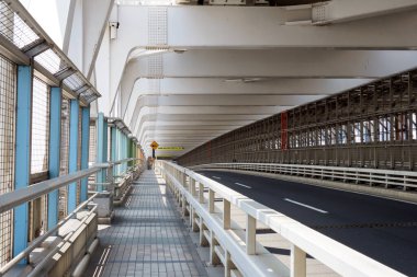 Tokyo Gökkuşağı Köprüsü Manzarası