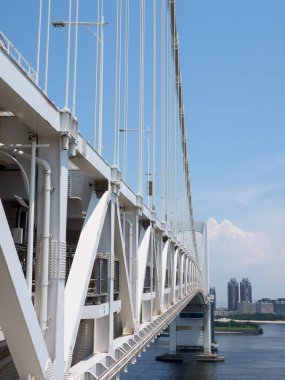 Tokyo Gökkuşağı Köprüsü Manzarası