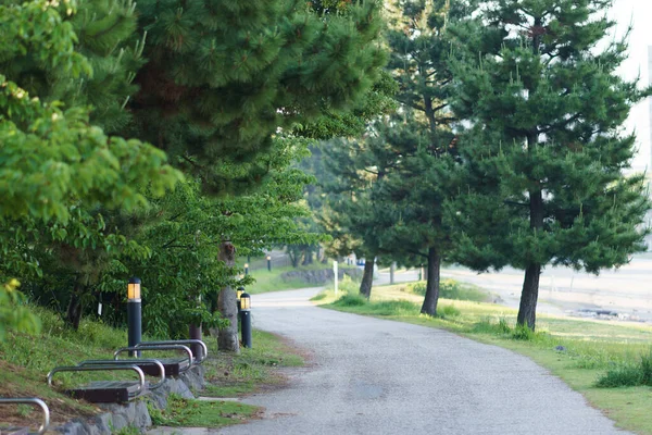 Japan Tokyo Odaiba Landscape — Stock Photo, Image