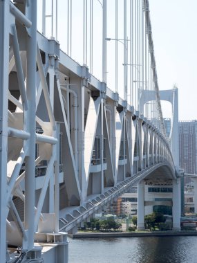 Tokyo Gökkuşağı Köprüsü Manzarası