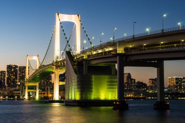 Tokyo Gökkuşağı Köprüsü Manzarası