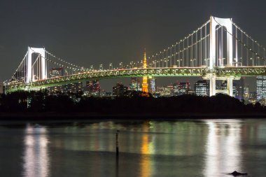 Tokyo Gökkuşağı Köprüsü Manzarası
