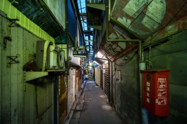 Tateishi şehri, Japonya Tokyo