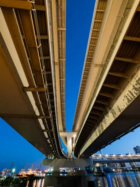 Tokyo Rainbow Bridge Landscape — стокове фото